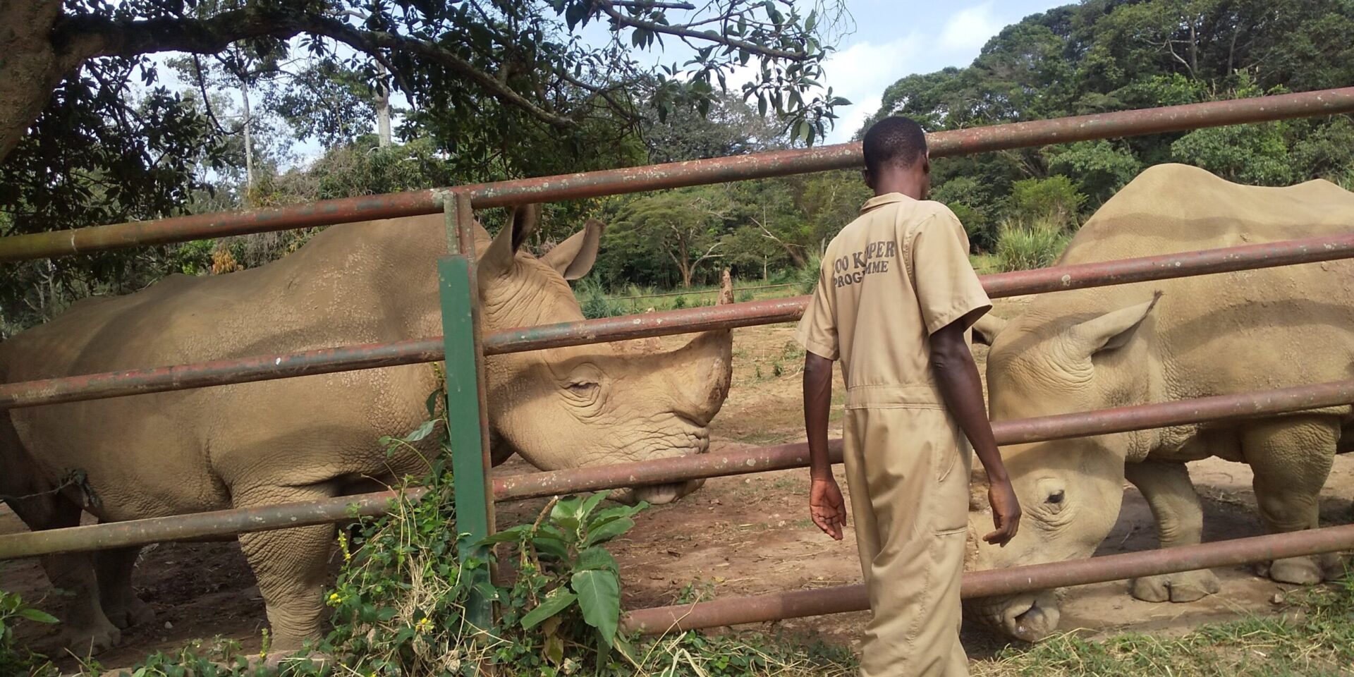 Why Animal Training is important to a zookeeper