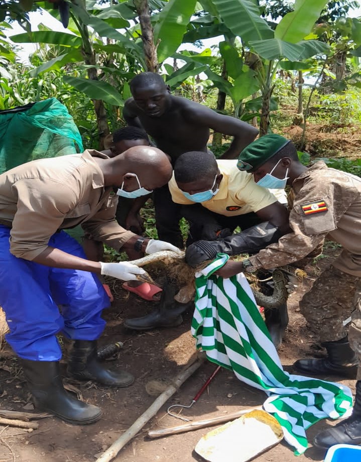 The role of zoo keepers in the conservation of wildlife 